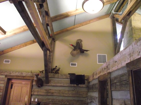 Image of 008.jpg