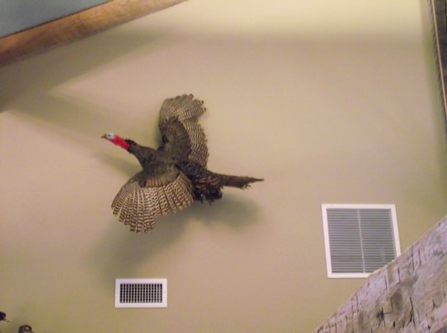 Image of 010.jpg