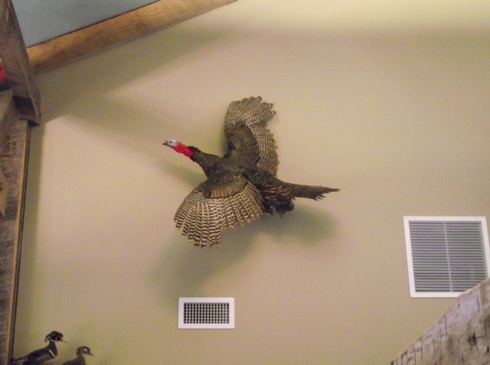 Image of 011.jpg