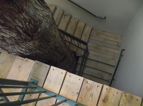 Image of 023.jpg