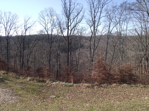 Image of 034.jpg