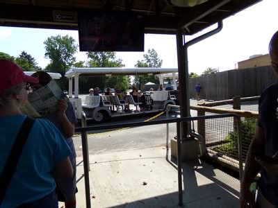 Image of 100_0034.jpg