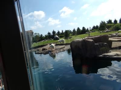 Image of 100_0042.jpg