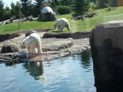 Image of 100_0043.jpg