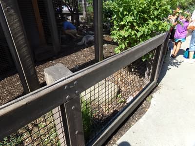 Image of 100_0048.jpg