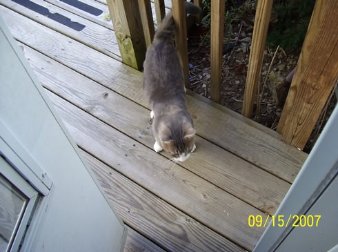 Image of 100_0050.jpg
