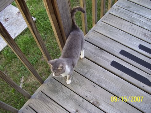 Image of 100_0052.jpg