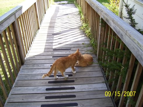 Image of 100_0054.jpg
