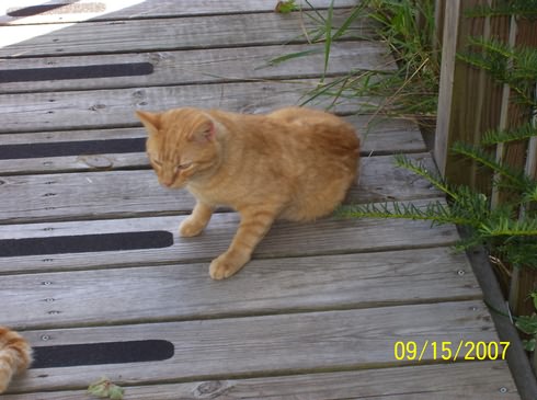 Image of 100_0055.jpg