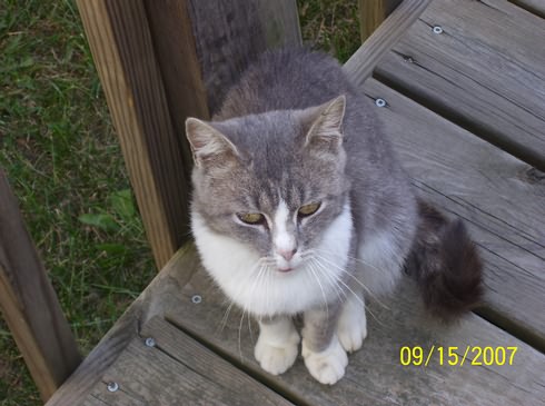 Image of 100_0056.jpg