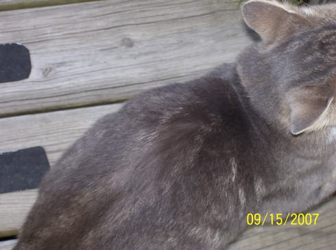 Image of 100_0057.jpg