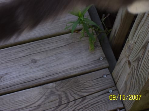 Image of 100_0058.jpg