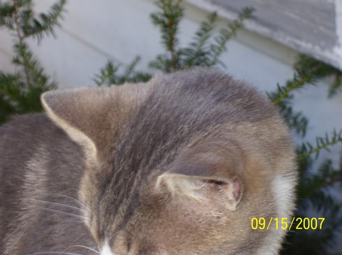 Image of 100_0059.jpg