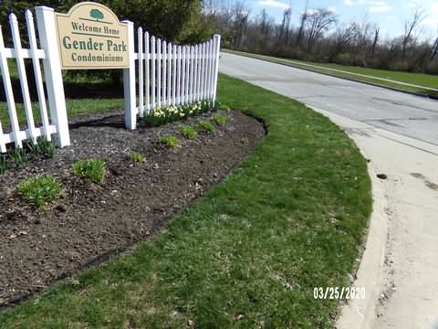 Image of 100_0241.jpg