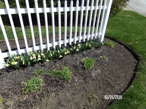 Image of 100_0243.jpg