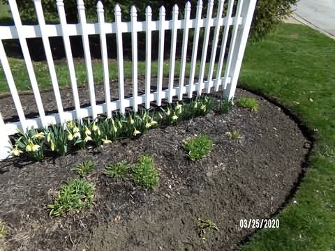 Image of 100_0244.jpg