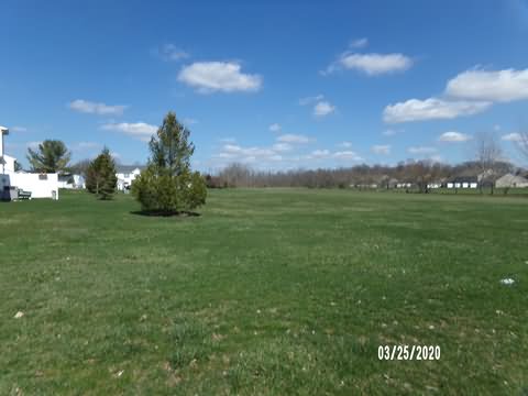 Image of 100_0248.jpg