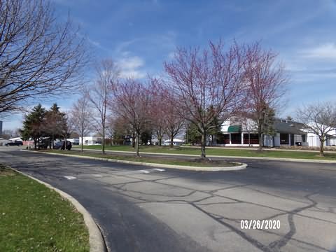 Image of 100_0254.jpg