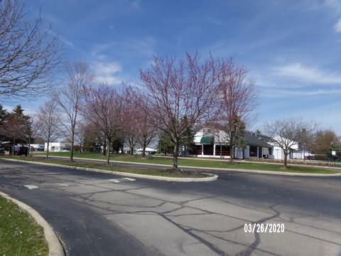 Image of 100_0255.jpg