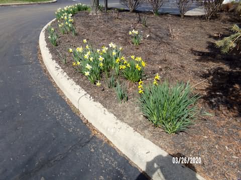 Image of 100_0257.jpg
