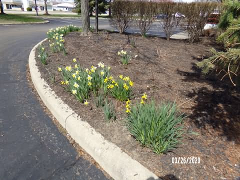 Image of 100_0258.jpg