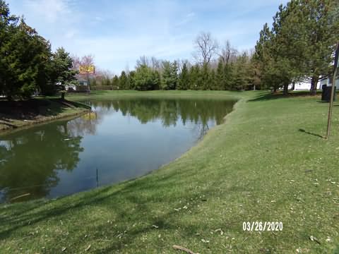 Image of 100_0261.jpg
