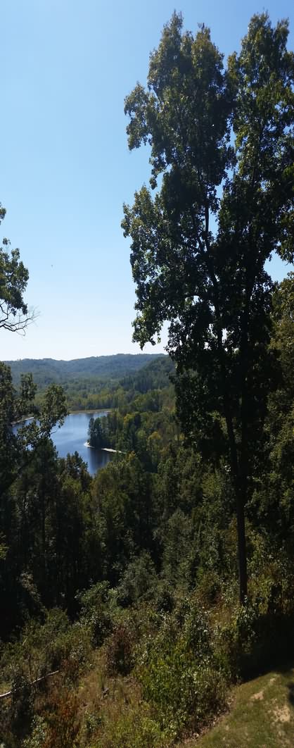 Image of 20150923_133707.jpg