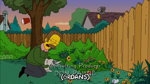 Image of 2giphy.gif