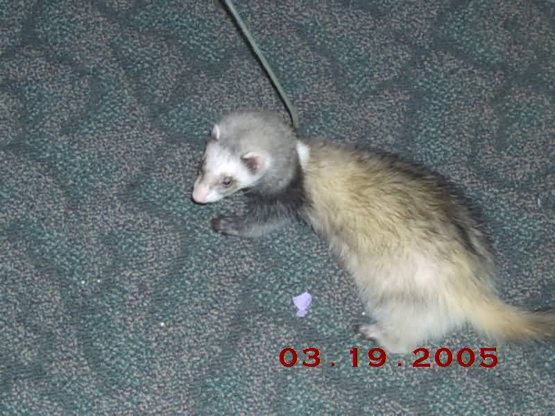 Image of 3-19-05-4.jpg
