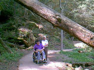 Image of 33.jpg