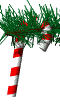 Image of canewht_clear.gif