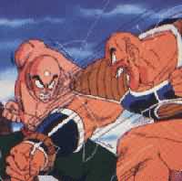 Image of dbz6t.jpg