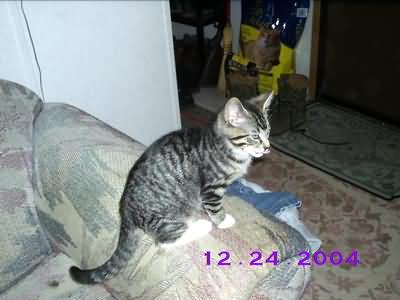Image of dec26-07.jpg