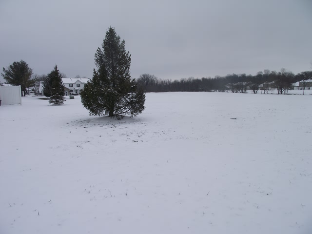 Image of dscf1545.jpg
