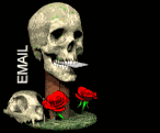 Image of emailskull.gif