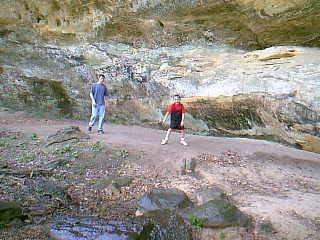 Image of image19.jpg