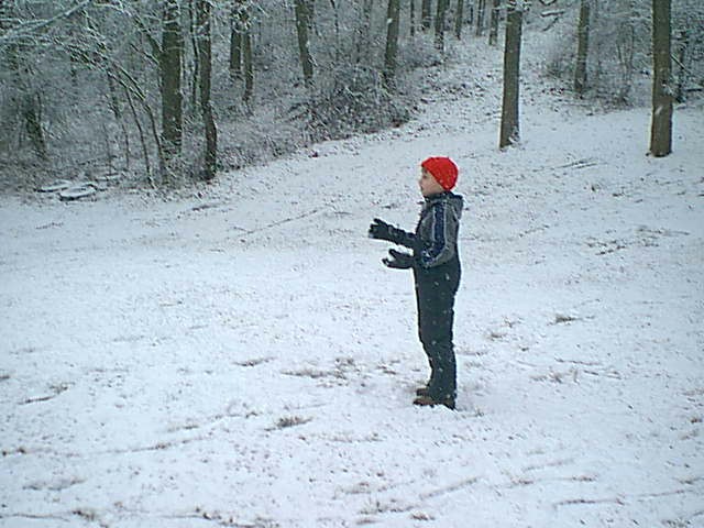 Image of jan06_01.jpg
