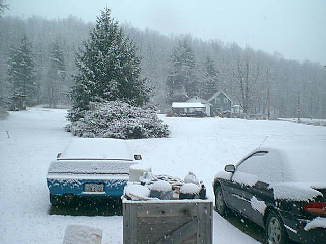 Image of jan06_11.jpg