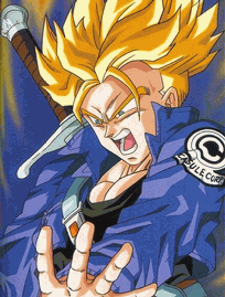 Image of mirtrx2.gif