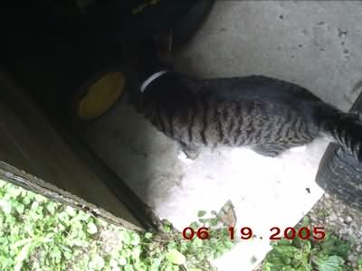 Image of pdrm0646.jpg